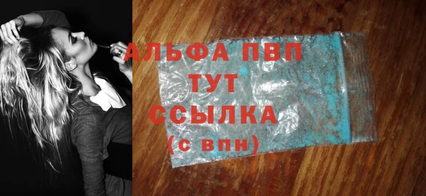 шишки Няндома