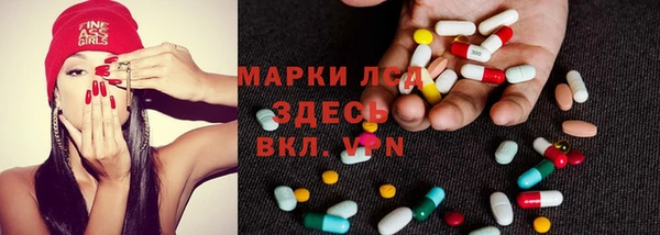 шишки Няндома