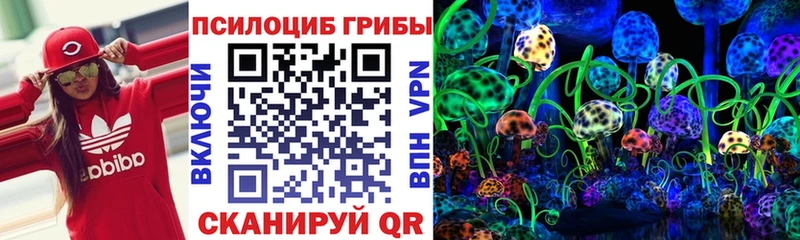 Псилоцибиновые грибы мицелий  Отрадный 
